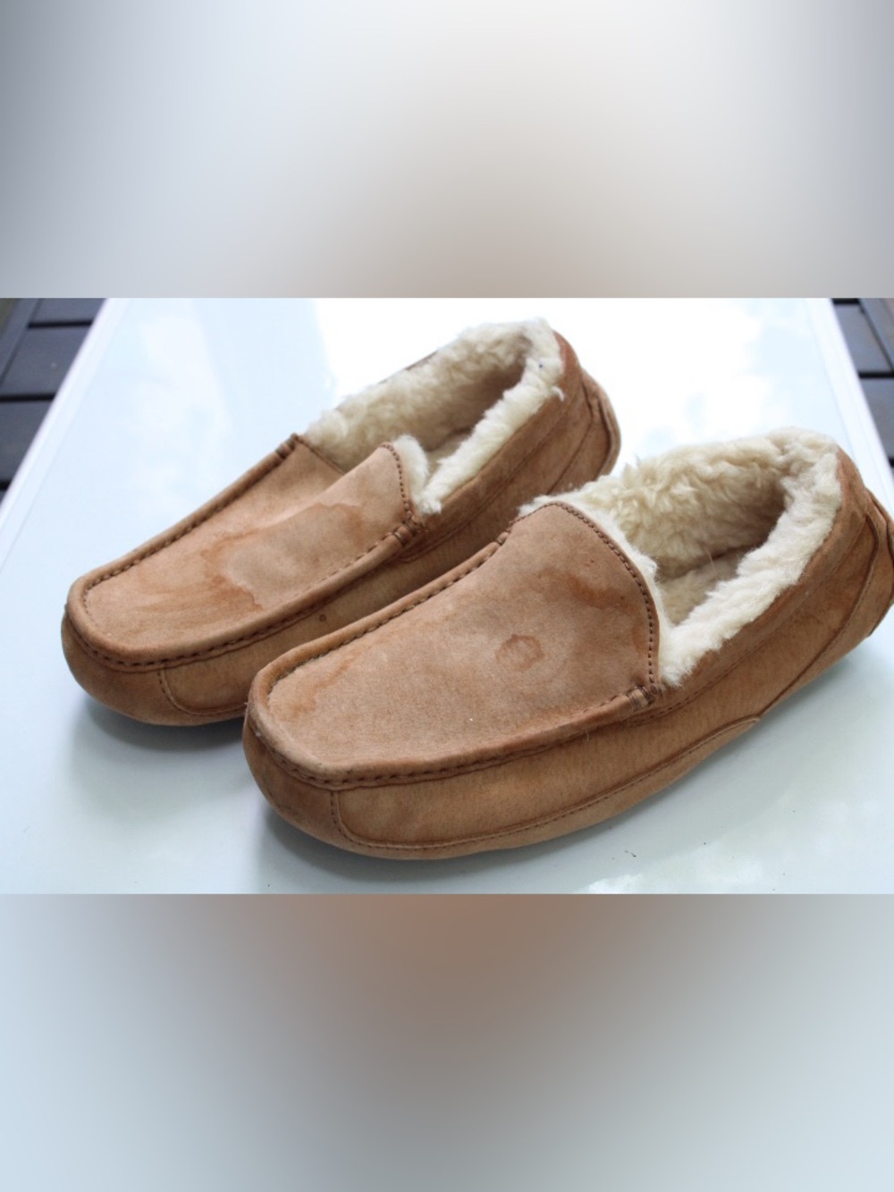 UGG Ascot slip on shoes
